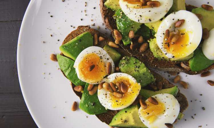 Sports & Performance Nutrition