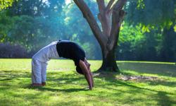 Yoga Pose
