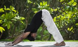 Yoga Pose